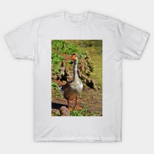 Graylag Goose T-Shirt